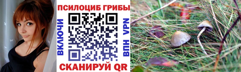 Галлюциногенные грибы мухоморы  где купить   Называевск 