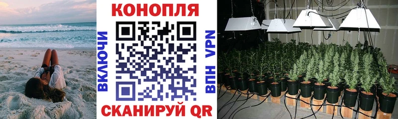 ОМГ ОМГ ссылки  Называевск  Каннабис Amnesia 